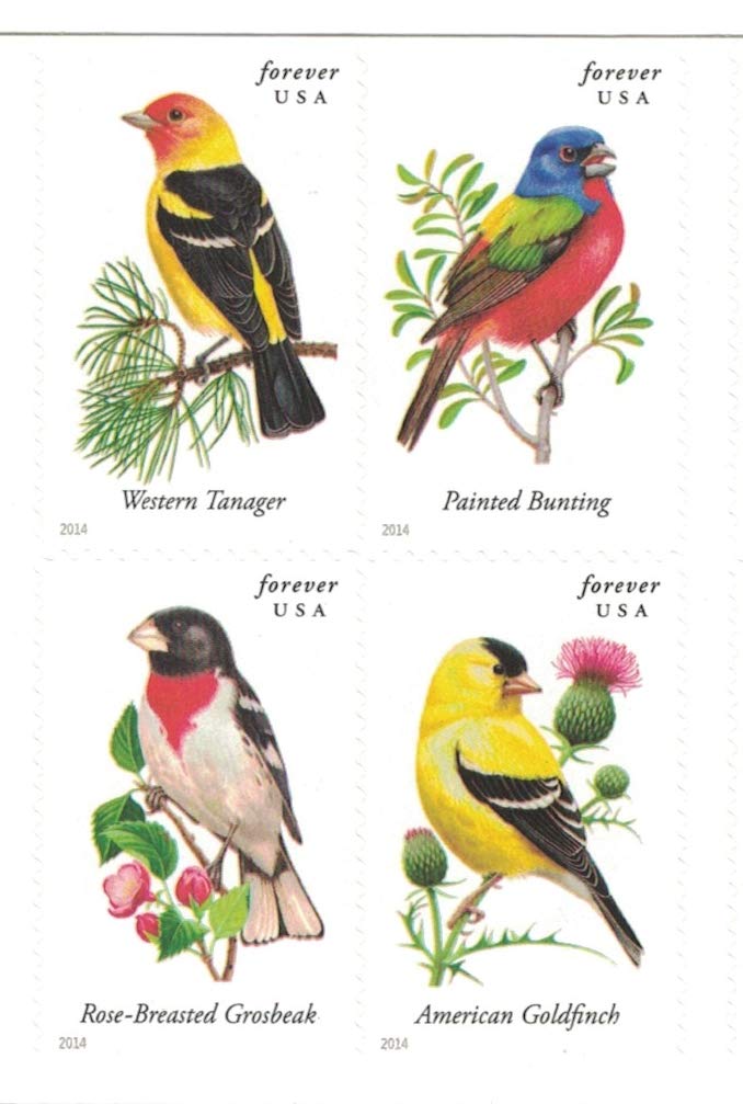 USPS Songbirds Forever Stamps - Booklet of 20 Postage Stamps - Image 4
